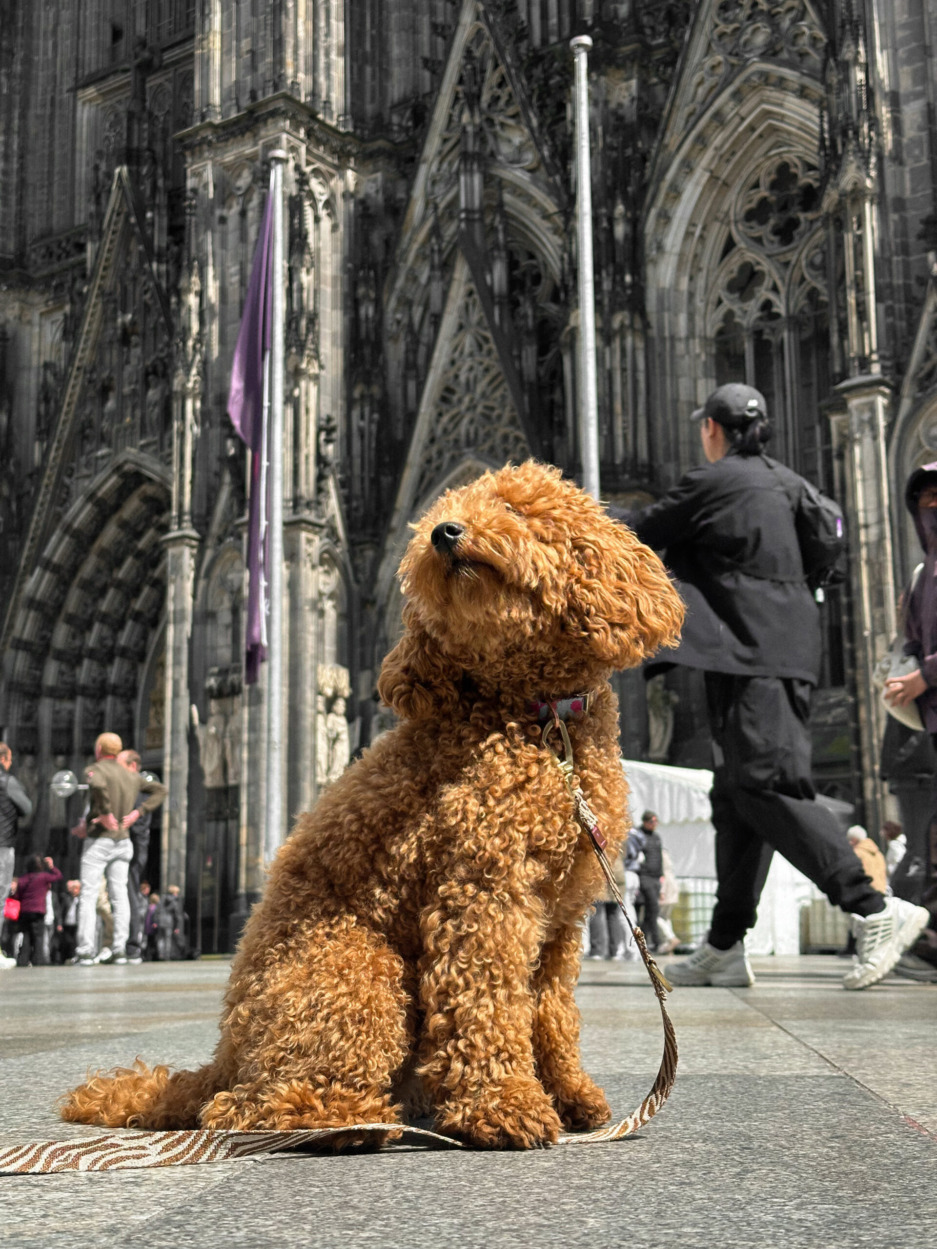 City Guide: 12 Hours in Cologne, DE